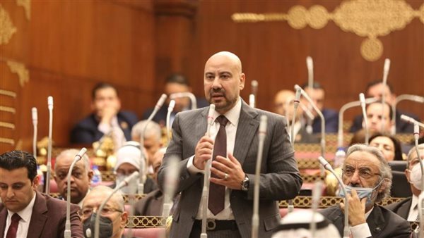 النائب ياسر ذكى عضو مجلس الشيوخ