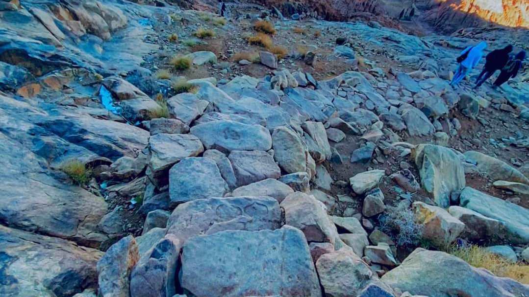 السفاري بشرم الشيخ 