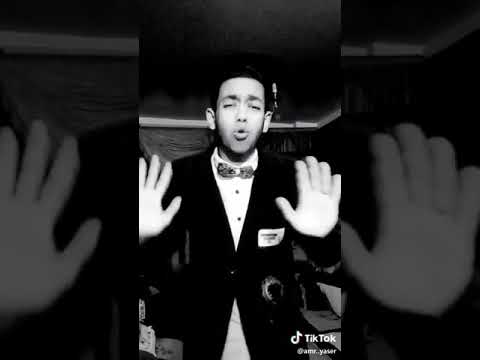 شبيه إسماعيل يسن 