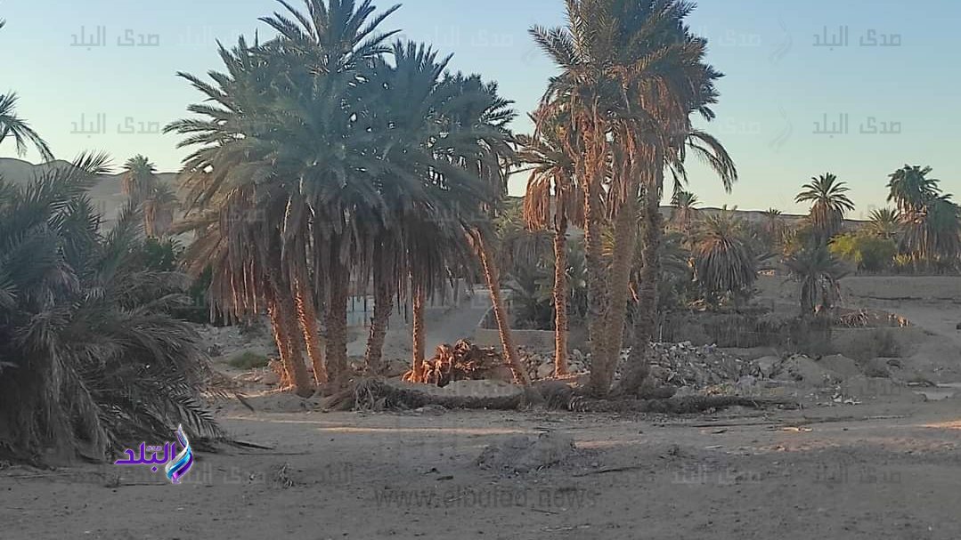 قرية وادي طور سيناء 