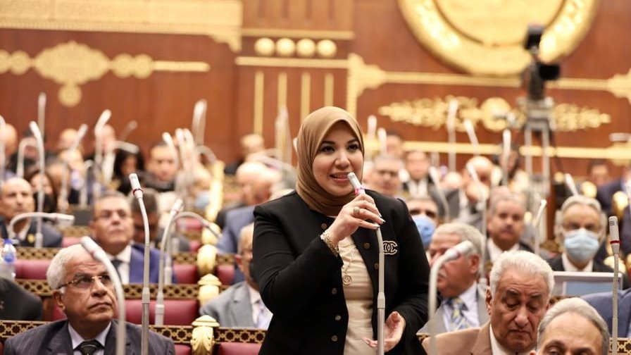 النائبة دينا هلالى