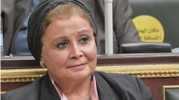 النائبة عبلة الألفى ، عضو لجنة الصحة بالبرلمان 