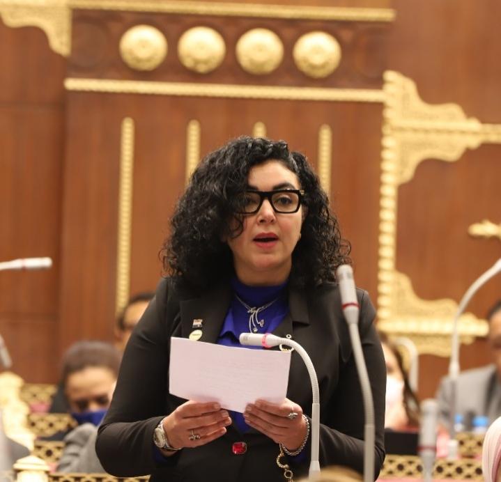  ريهام عفيفي عضو لجنة العلاقات الخارجية بمجلس الشيوخ 