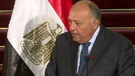 سامح شكري، وزير الخارجية