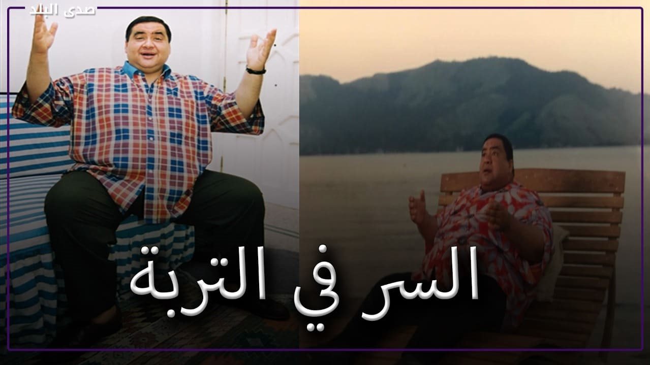 علاء ولي الدين
