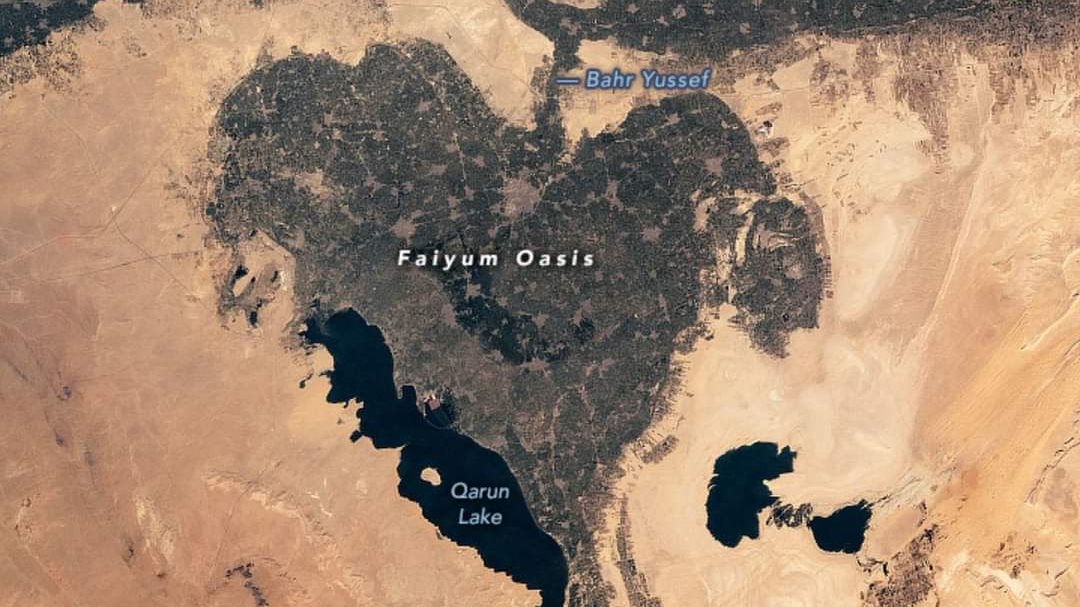 واحة على شكل قلب