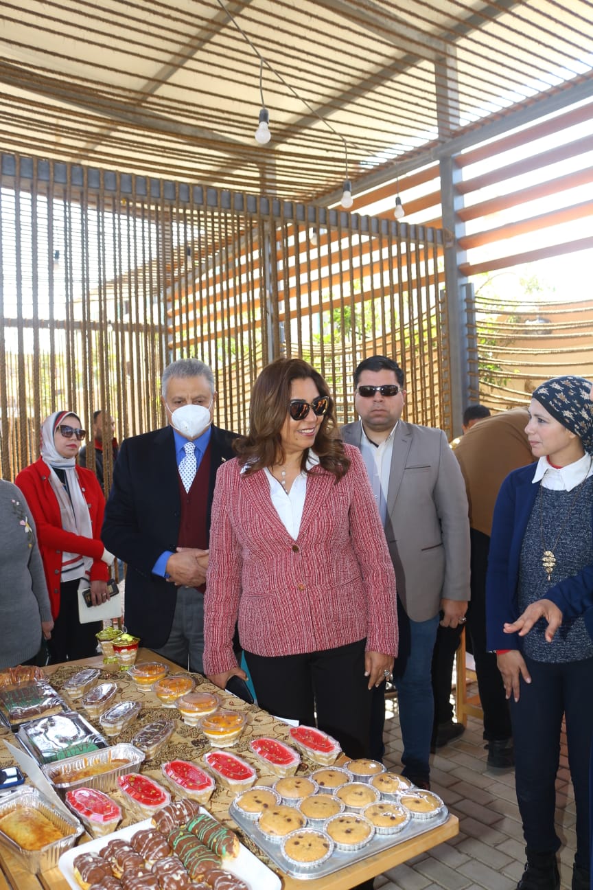 محافظ دمياط