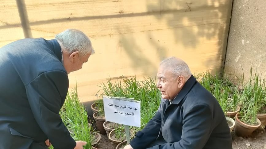 الزراعة