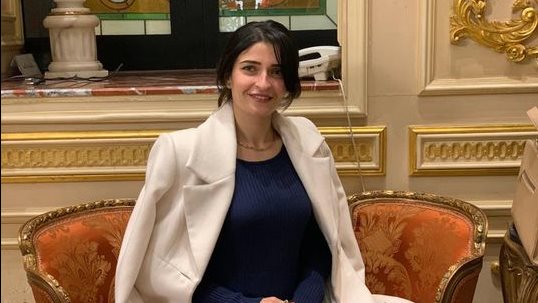 إيرين سعيد ، عضو لجنة الصحة بمجلس النواب 