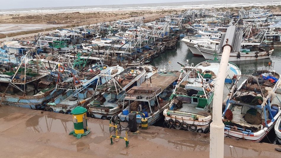 توقف حركة الصيد