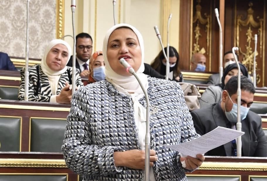 النائبة سناء السعيد، عضو مجلس النواب