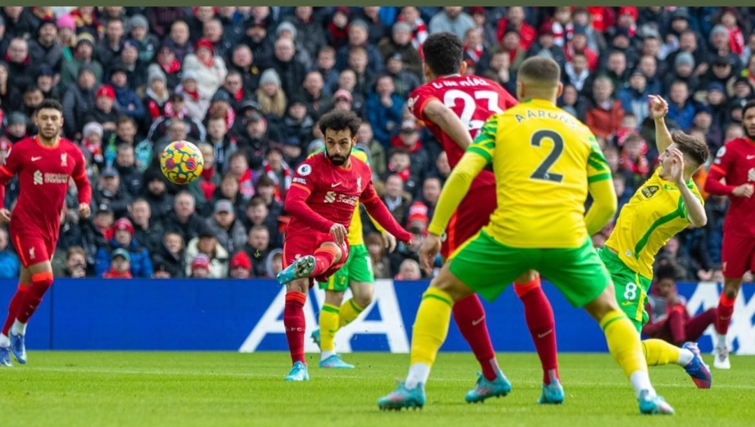 IMG_٢٠٢٢٠٢٢٠_١٤٣٦٠٥