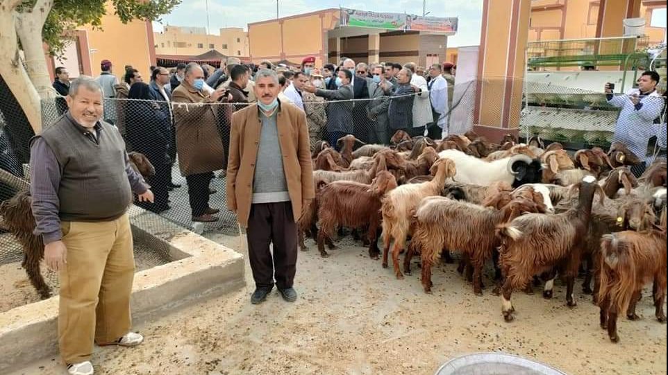 جانب من مشروعات التنمية بوسط سيناء 