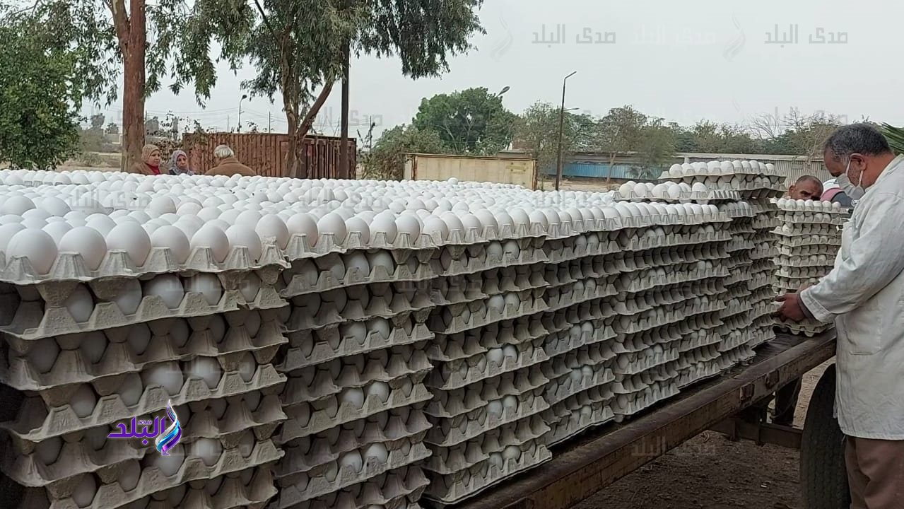 مشروع الـ 30 مليون بيضة