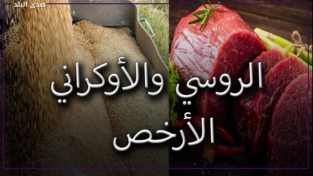 هل ستأثر واردات مصر من القمح بسبب أزمة روسيا وأوكرانيا