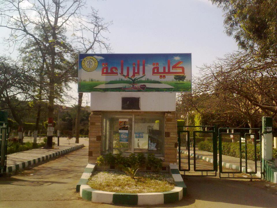 كلية الزراعة جامعة الأزهر