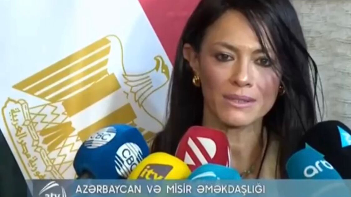 وزيرة التعاون الدولي