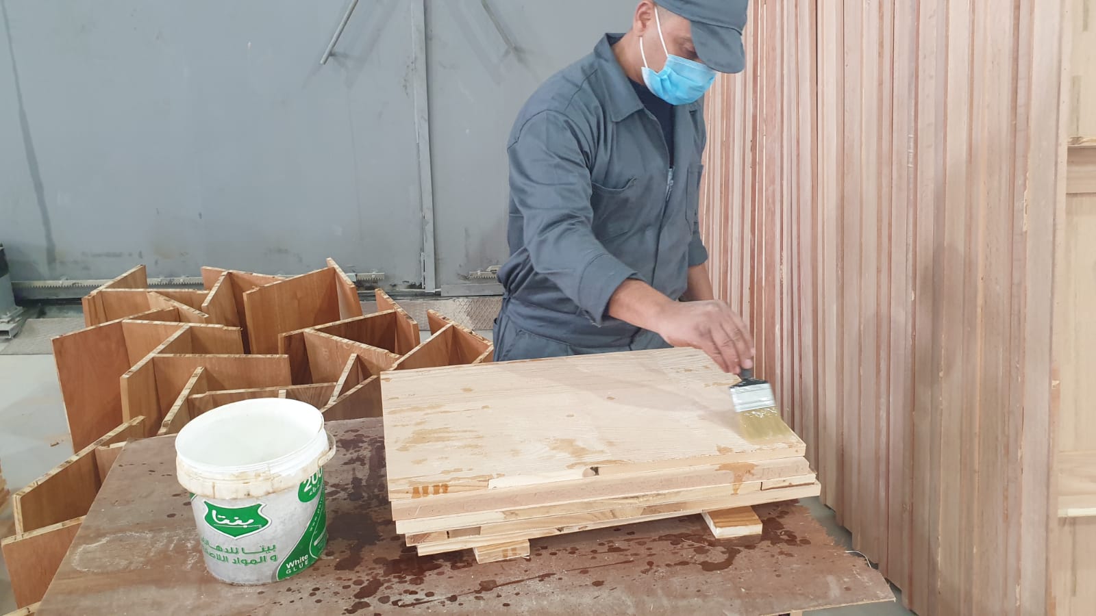 جانب من الزيارة