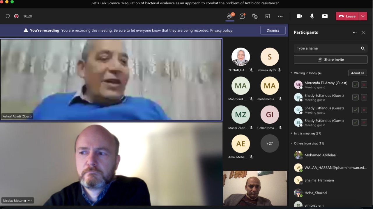 جامعة حلوان  جامعة حلوان