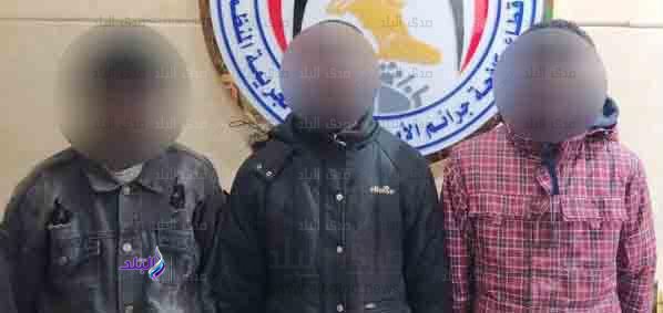 B8146A85-C9D8-4C10-AA10-83A672E31CD3