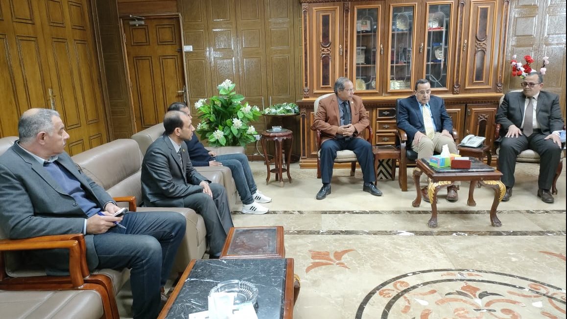 دعم أبناء سيناء باشجار الزيتون