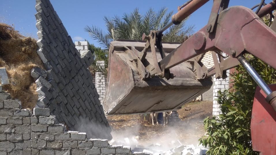 حملات الازالة بزراعة الفيوم مستمرة