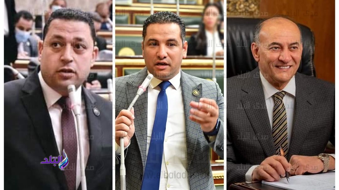 نواب كفر الشيخ