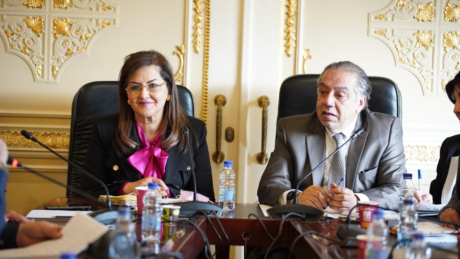 وزيرة التخطيط فى مجلس النواب