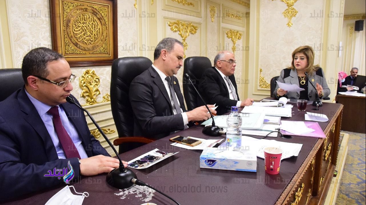 النائبة هناء أنيس