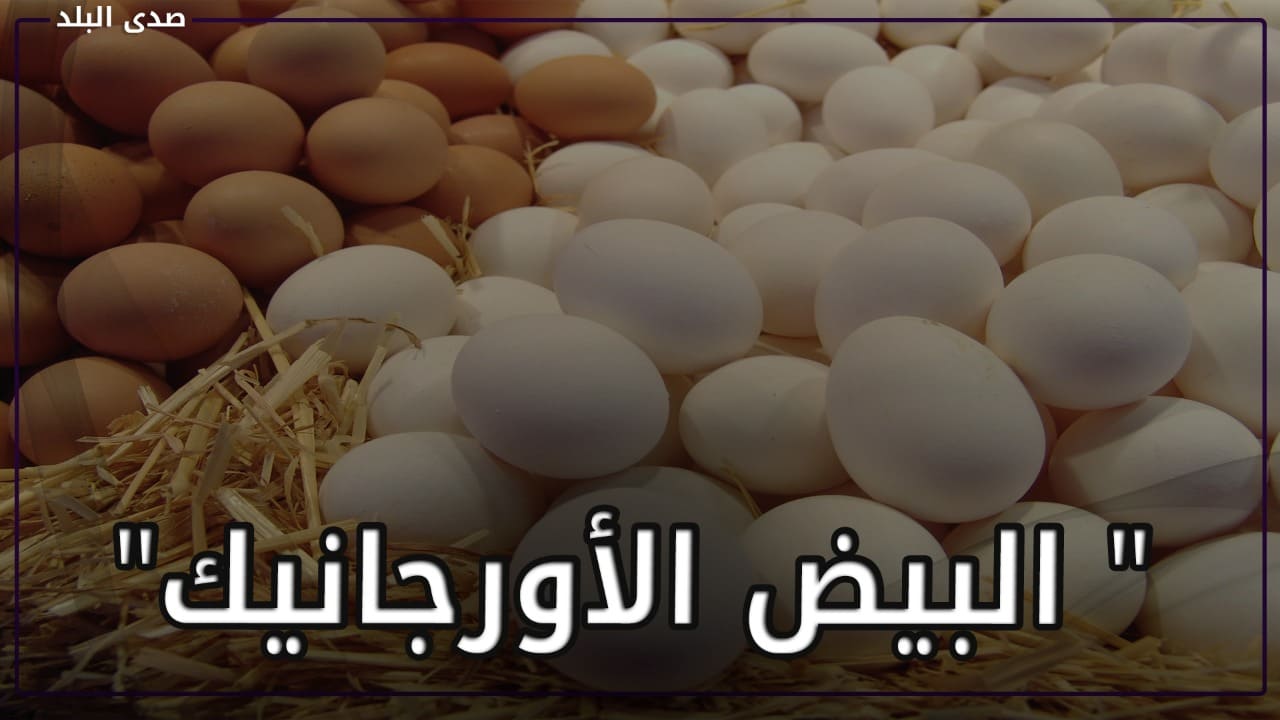 بيض أورجانيك