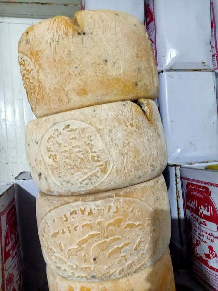 جبن