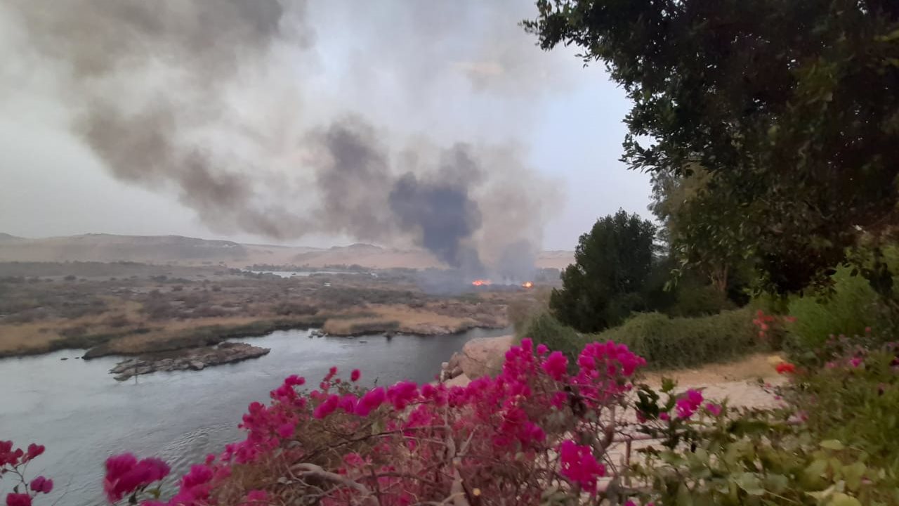 حريق بعض الزراعات محمية سالوجا وغزال بأسوان