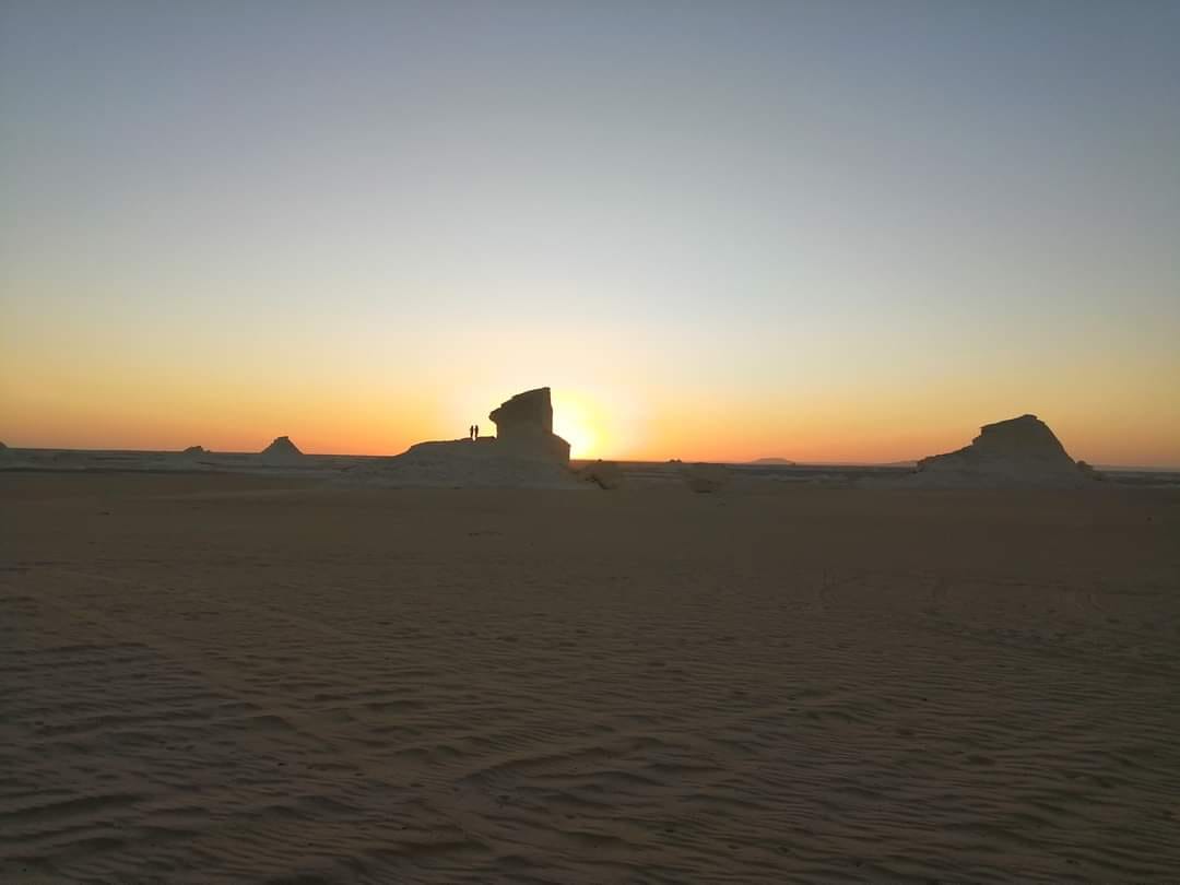 شباب يصورون لحظات وفاتهم المأساوية في الصحراء.. شاهد