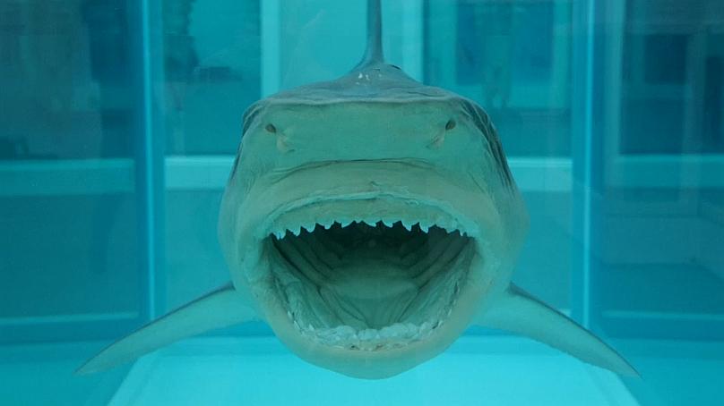 808x454_cmsv2_35e80322-04eb-59dc-a12d-60876cfbfd51-6532966