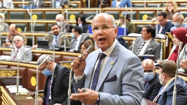  النائب السيد شمس الدين عضو مجلس النواب