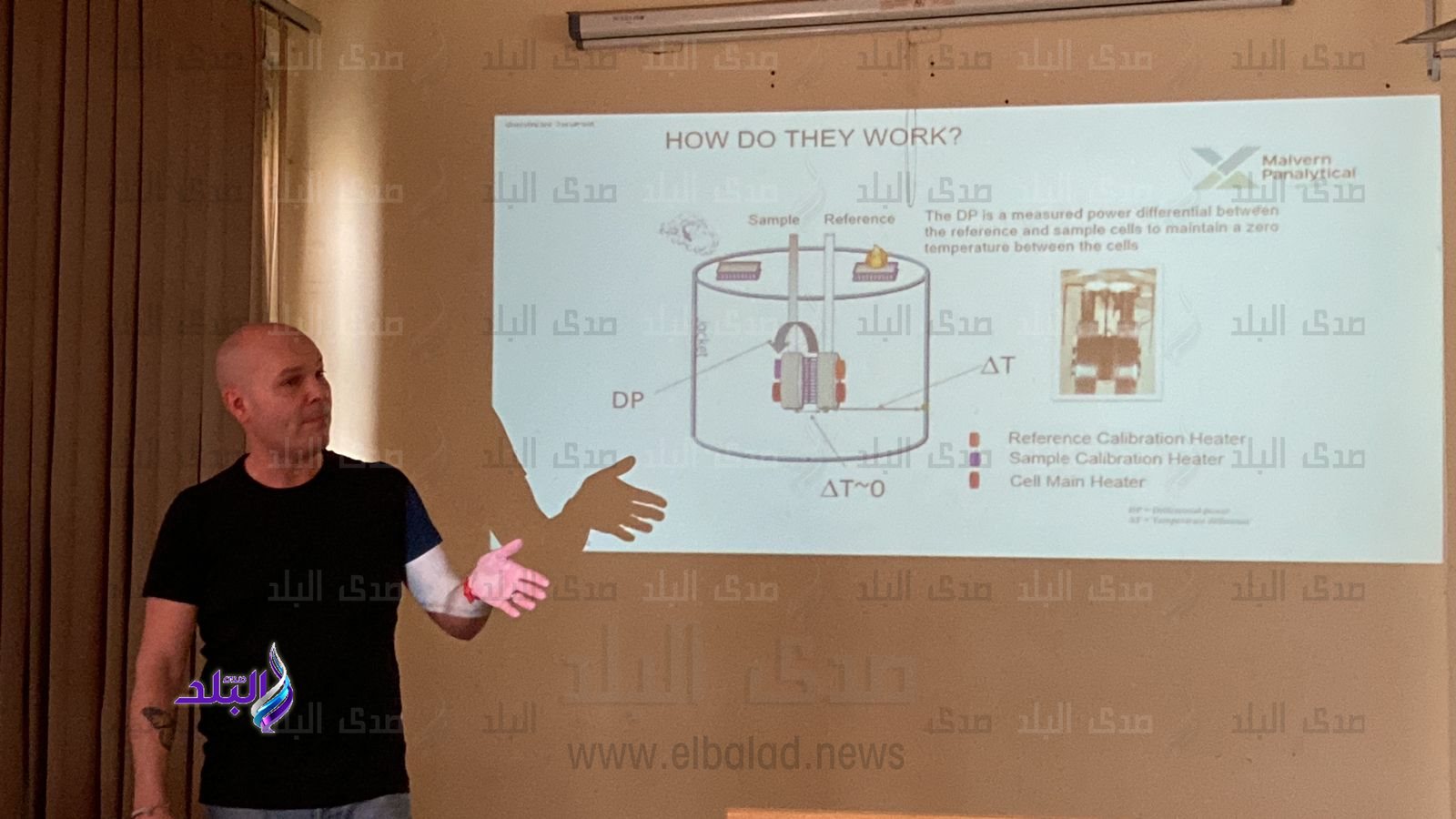 جامعة حلوان