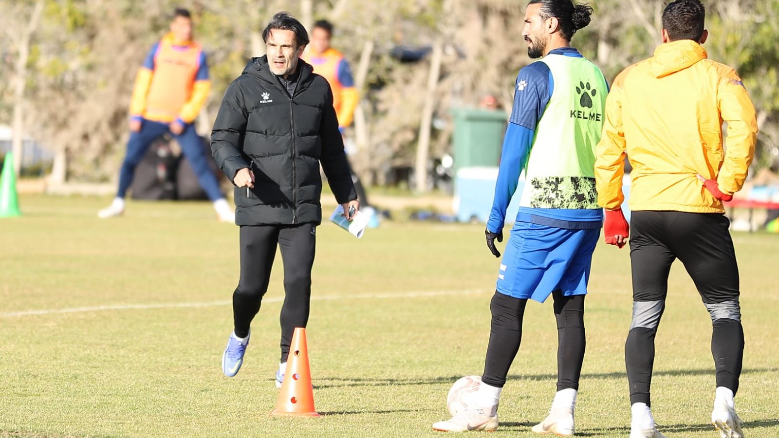 فاركو
