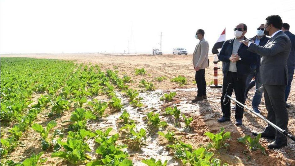 الرئيس السيسي في مشروع مستقبل مصر