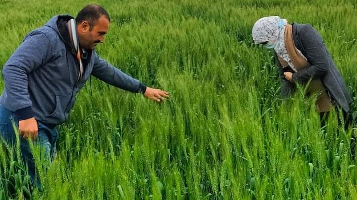 الزراعة تتابع رفع كفاءة أصولها