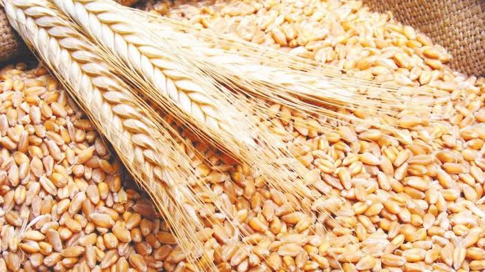 منظومة تداول الأقماح 