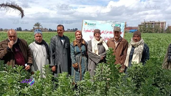 جانب من الفعاليات