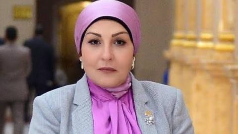 النائبة هالة أبو السعد ، عضو مجلس النواب