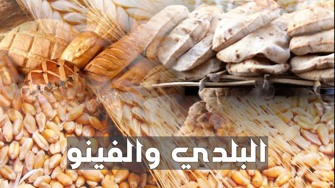 البلدى والفينو