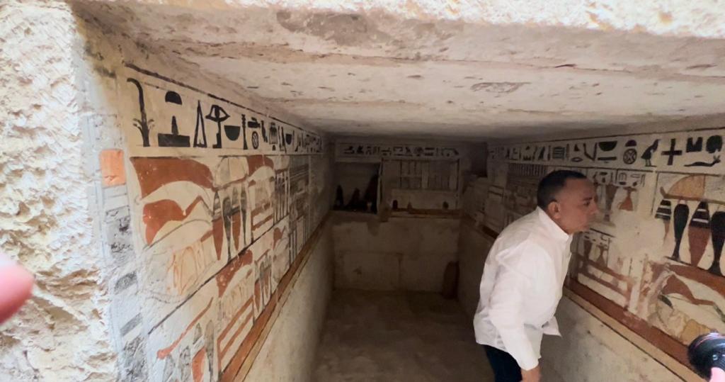 الدكتور مصطفى وزيرى 