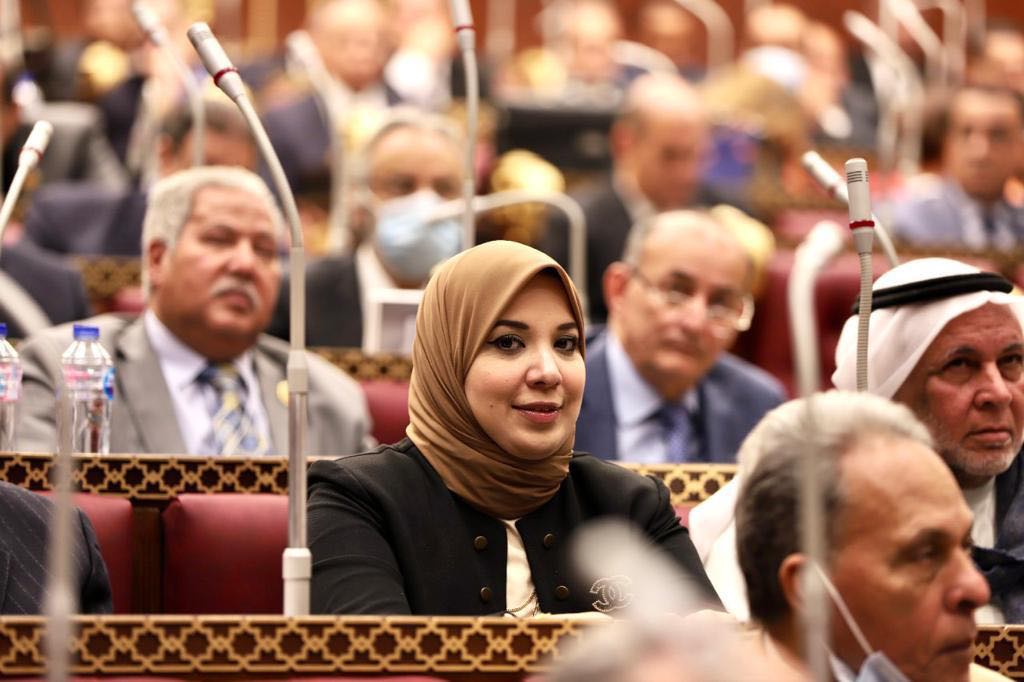 الدكتورة دينا هلالي عضو مجلس الشيوخ
