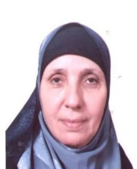 الأم المثالية