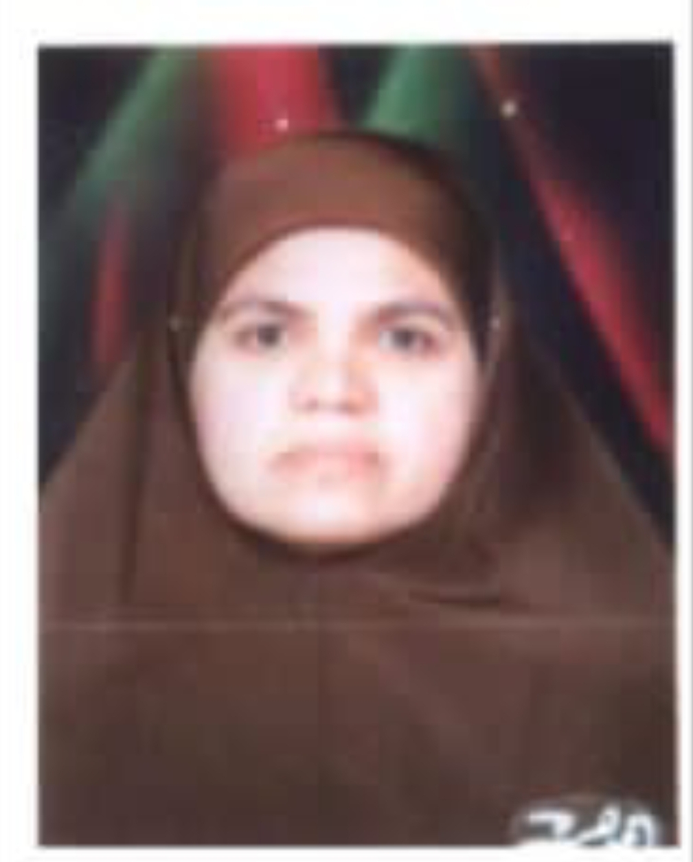 الام المثاليه عن محافظة الدقهلية