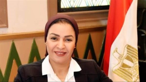 مزلاوى عضو لجنة الثقافة والإعلام بمجلس النواب