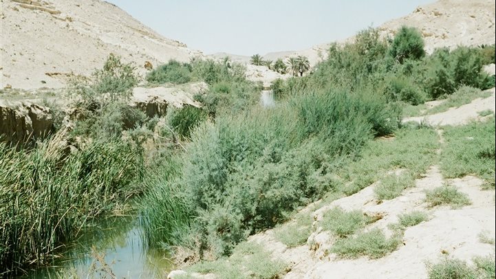 عين الجديرات بمنطقة القسيمة مركز الحسنة 