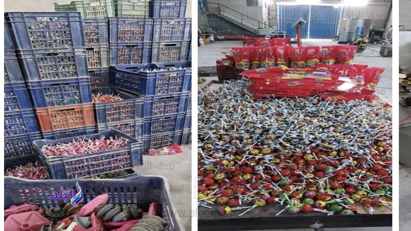 جانب من المضبوطات